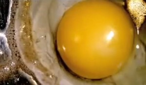 Dexter Eggs